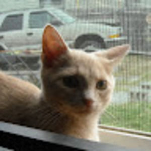 Meet your Posher, Dee